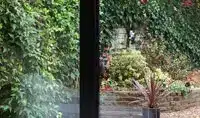 Clear-Single-Pane